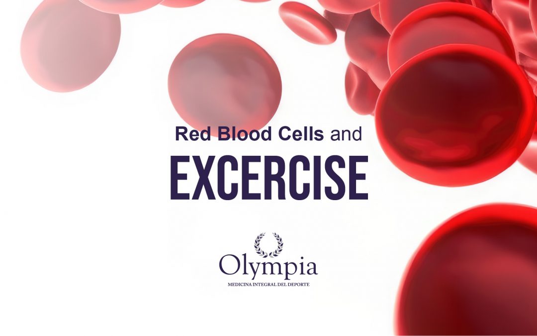 Red blood cells and exercise