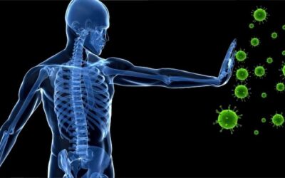 El ejercicio y el sistema inmune