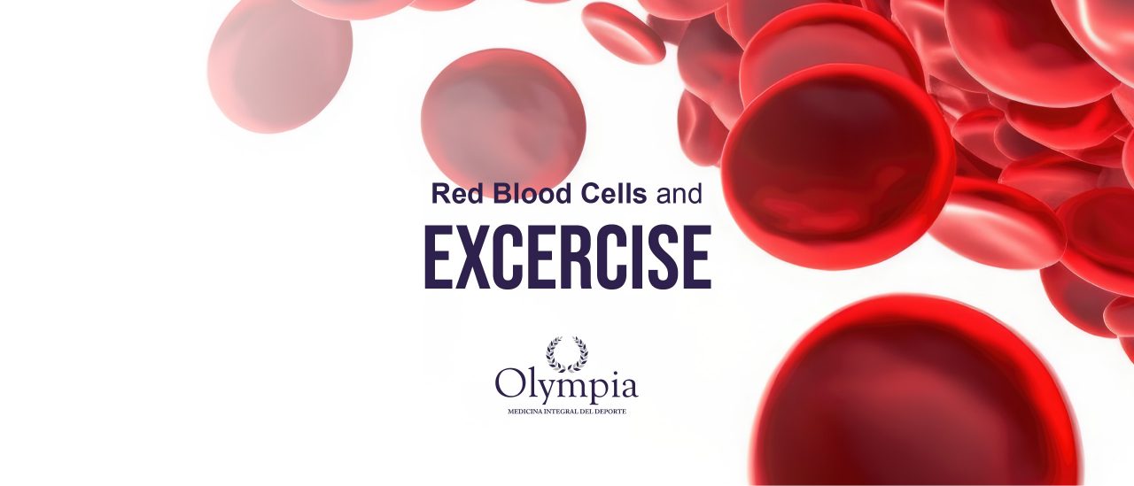 Red blood cells and exercise | Olympia